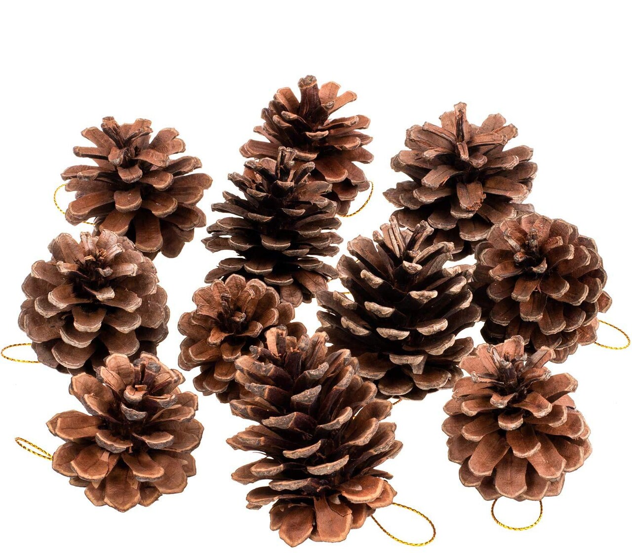 25 Pcs 1.6-2.4 Inches Christmas Pine Cones Decoration with String, Natural Rustic Pinecones Bulk Ornaments for Crafting for Home Accent Decor, Fall Thanksgiving Tree Decoration